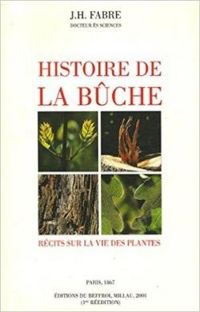 Jean Henri Fabre - Histoire de la bûche