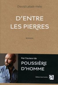 Couverture du livre D'entre les pierres - David Lelait Helo