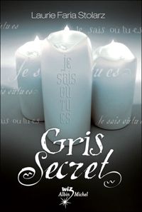 Laurie Faria Stolarz - GRIS SECRET T3