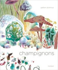 Couverture du livre Champignons - Gatan Doremus