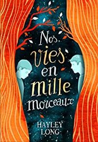 Hayley Long - Nos vies en mille morceaux