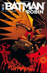 Tomasi Peter - Gleason Patrick(Illustrations) - Batman & Robin