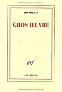 Couverture du livre Gros oeuvre - Joy Sorman