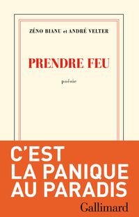 Couverture du livre Prendre feu - Zeno Bianu - Andre Velter