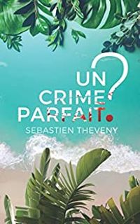 Couverture du livre Un crime parfait ? - Sebastien Theveny