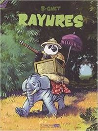 Couverture du livre Rayures - B Gnet