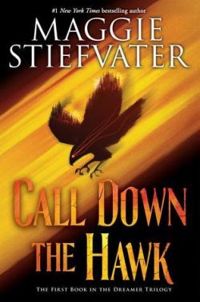 Maggie Stiefvater - Call down the hawk