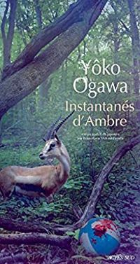 Couverture du livre Instantanés d'Ambre - Yoko Ogawa