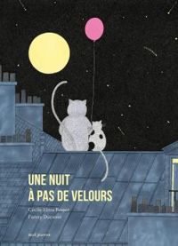 Couverture du livre Une nuit à pas de velours - Fanny Ducasse - Cecile Elma Roger