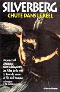 Couverture du livre Chute dans le réel - Robert Silverberg