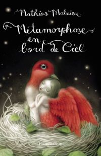 Couverture du livre Métamorphose en bord de ciel - Mathias Malzieu