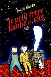 Jostein Gaarder - Le petit frère tombé du ciel