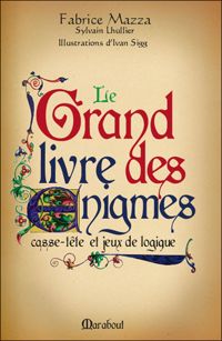 Fabrice Mazza - Sylvain Lhullier - Le grand livre des énigmes 