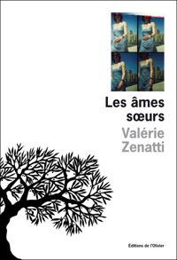 Couverture du livre Les âmes soeurs - Valerie Zenatti