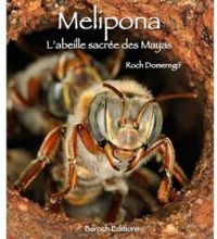 Couverture du livre MELIPONA, L'ABEILLE SACRÉE DES MAYAS - Roch Domerego