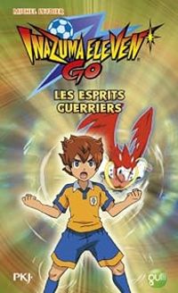 Couverture du livre Les esprits guerriers - Michel Leydier