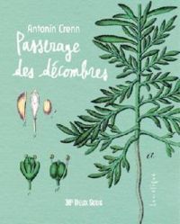 Couverture du livre Passerage des décombres - Antonin Crenn