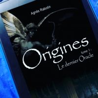 Couverture du livre Le dernier oracle - Agnes Rabotin