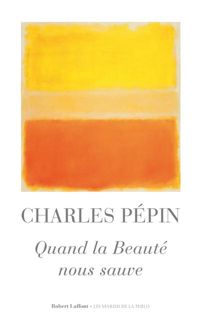 Charles Pépin - Quand la beauté nous sauve