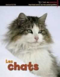 Stephane Frattini - Les chats