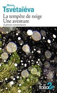 Couverture du livre La tempête de neige - Une aventure - Marina Tsvetaieva