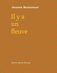 Couverture du livre Il y a un fleuve - Jeanne Benameur