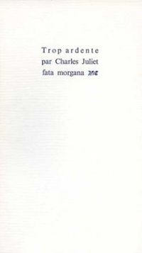 Couverture du livre Trop ardente - Charles Juliet