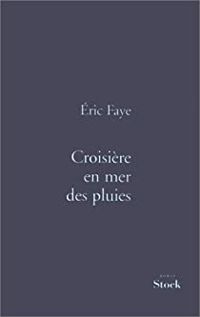 Ric Faye - Croisière en mer des pluies