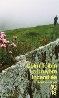 Colm Toibin - BRUYERE INCENDIEE