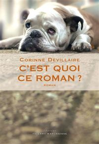 Corinne Devillaire - C'est quoi ce roman ?