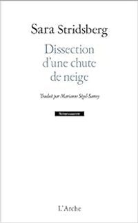 Sara Stridsberg - Dissection d'une chute de neige