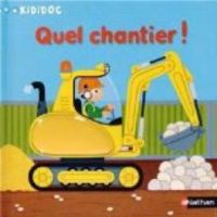 Couverture du livre Quel chantier ! - Pierre Caillou