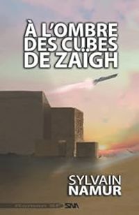 Couverture du livre À l'ombre des cubes de Zaïgh - Sylvain Namur