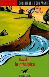 Couverture du livre David et le précipice - Francois Gravel