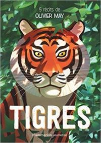 Olivier May - Tigres