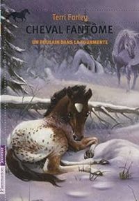 Terri Farley - Un poulain dans la tourmente