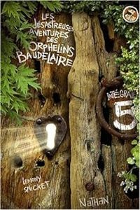 Daniel Handler - Les désastreuses Aventures des Orphelins Baudelaire 