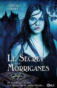 Couverture du livre Le secret des Morriganes - Florence Cochet