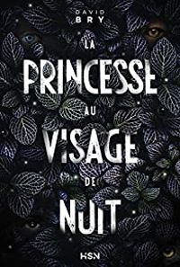 David Bry - La Princesse au visage de nuit