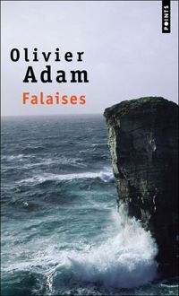 Couverture du livre Falaises - Olivier Adam