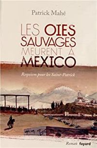 Couverture du livre Les oies sauvages meurent à Mexico  - Patrick Mahe