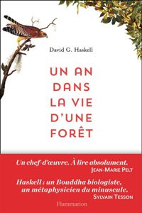 Couverture du livre Un an dans la vie d'une forêt - David George Haskell - David G Haskell