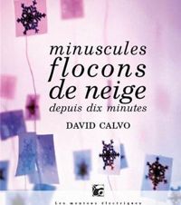 David Calvo - Minuscules flocons de neige depuis dix minutes