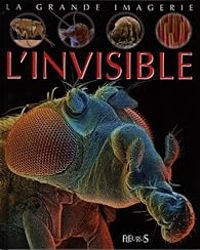 Couverture du livre L'invisible - Christine Sagnier