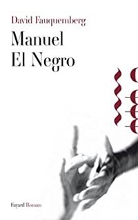 Couverture du livre Manuel El Negro - David Fauquemberg