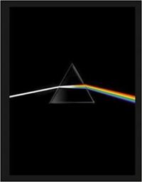 Roger Waters - Pink floyd their mortal remain