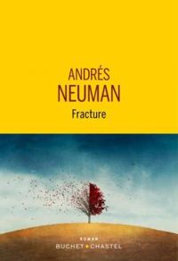 Couverture du livre Fracture - Andres Neuman