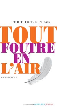 Couverture du livre Tout foutre en l'air - Antoine Dole