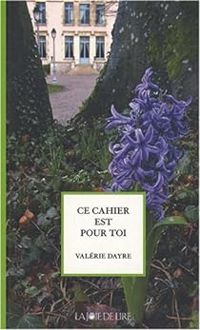 Valerie Dayre - Ce cahier est pour toi