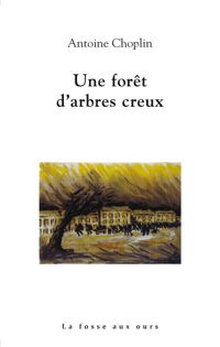 Couverture du livre Une forêt d'arbres creux - Antoine Choplin